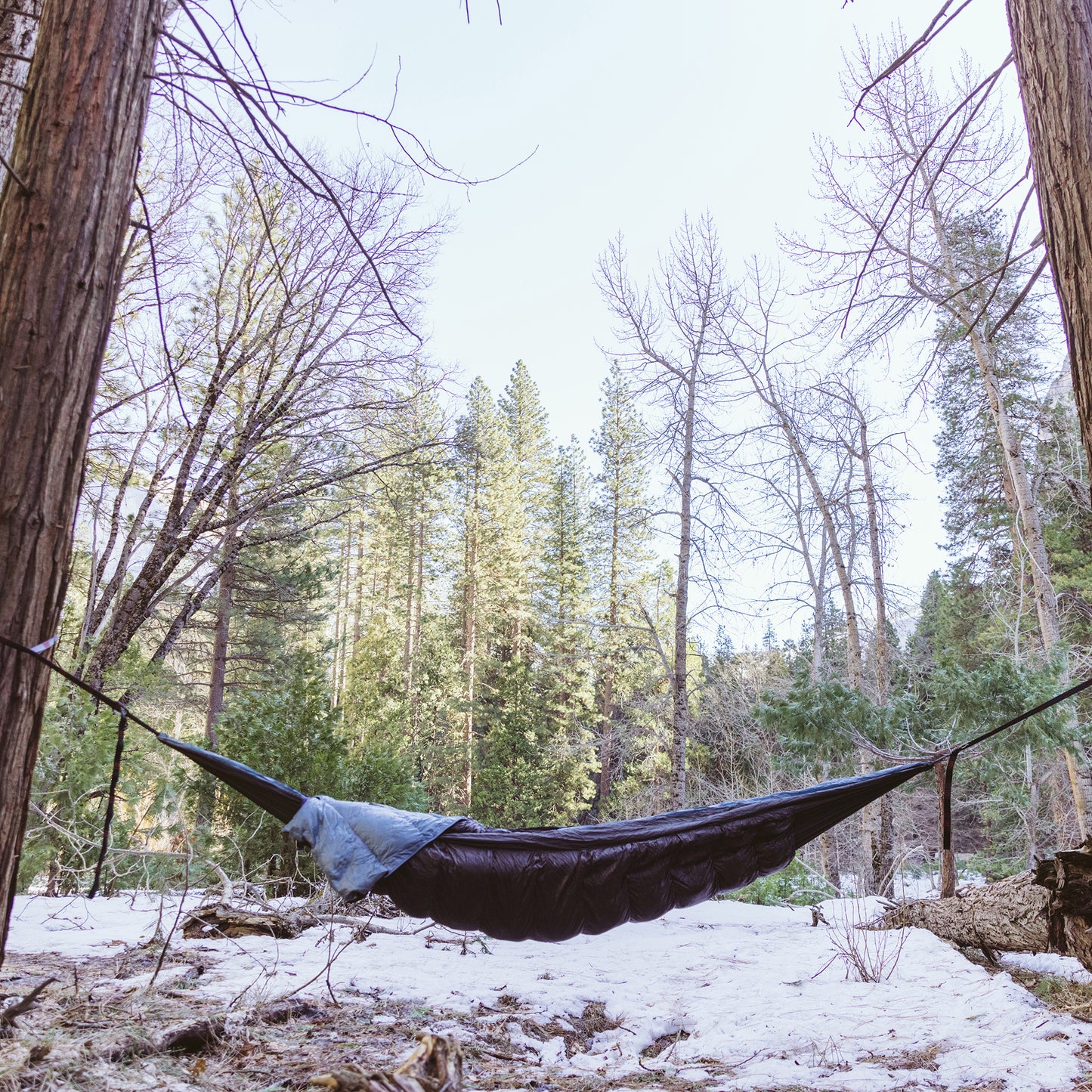 Evolution 20 Down Sleeping Bag Hammock Evo-down-LS-8
