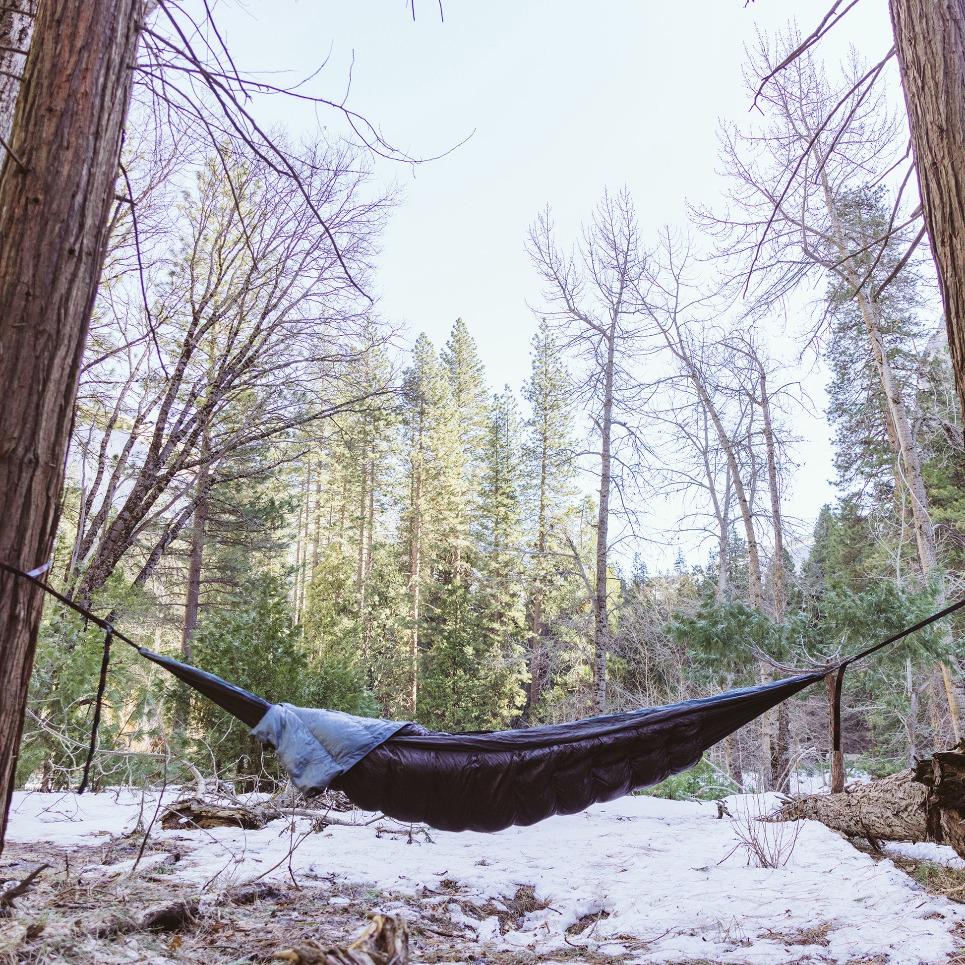 Evolution 20 Down Sleeping Bag Hammock Evo-down-LS-8