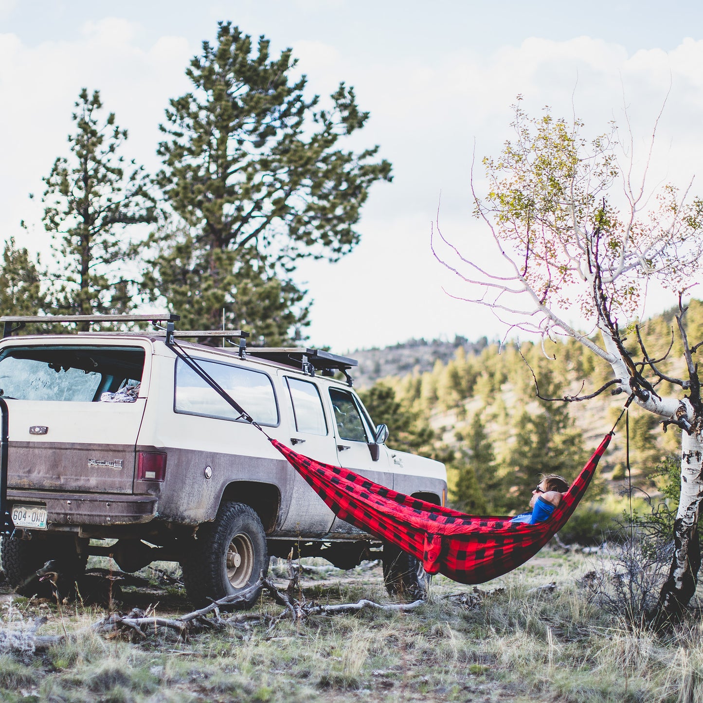 Double Deluxe Hammock with Straps | PRINTS