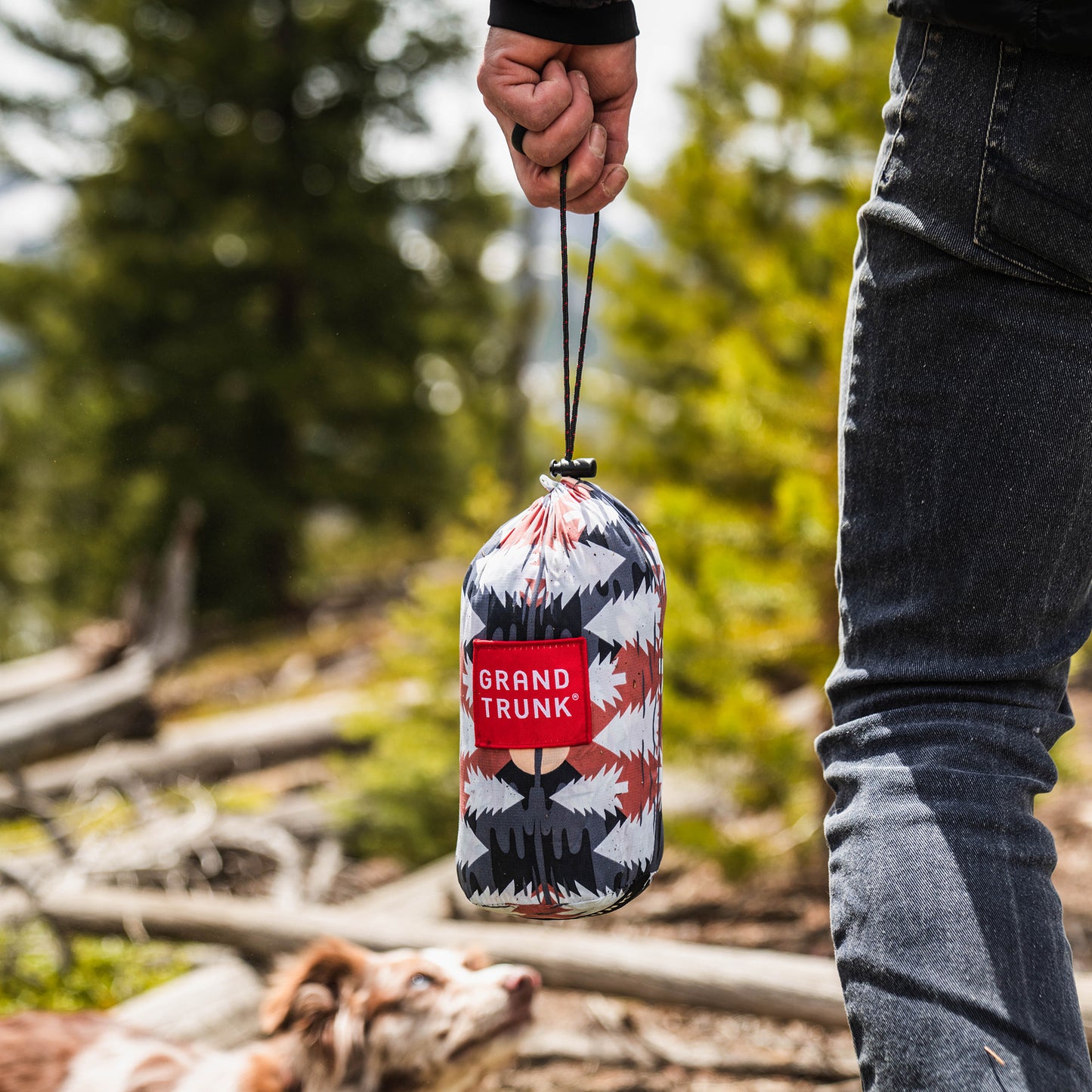 Wild Forest Lifestyle